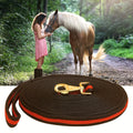 Premium Horse Lunge Line with Trigger Clip