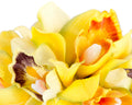 Hand made exclusive yellow fascinator headband