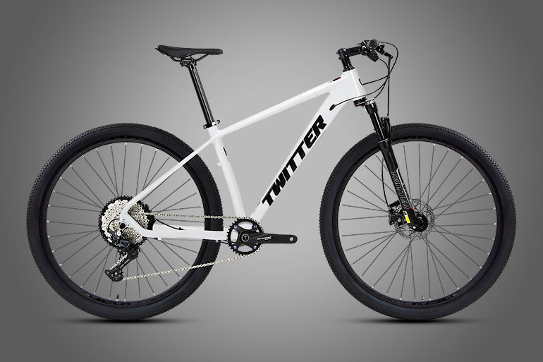 Rider (Boost) - Twitter AL7005 Mountain Bike